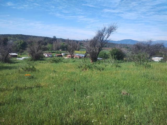 Agrícola en Melipilla