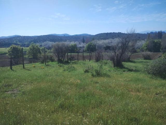 Agrícola en Melipilla