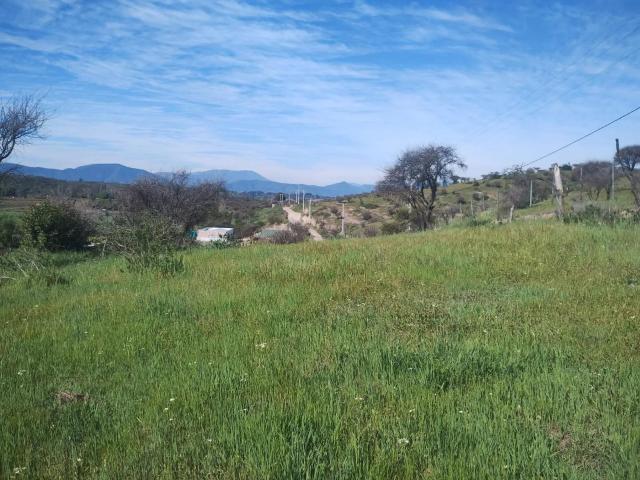 Agrícola en Melipilla