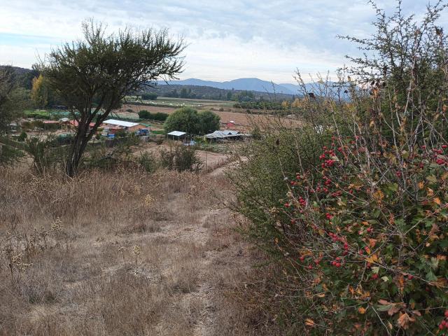Agrícola en Melipilla