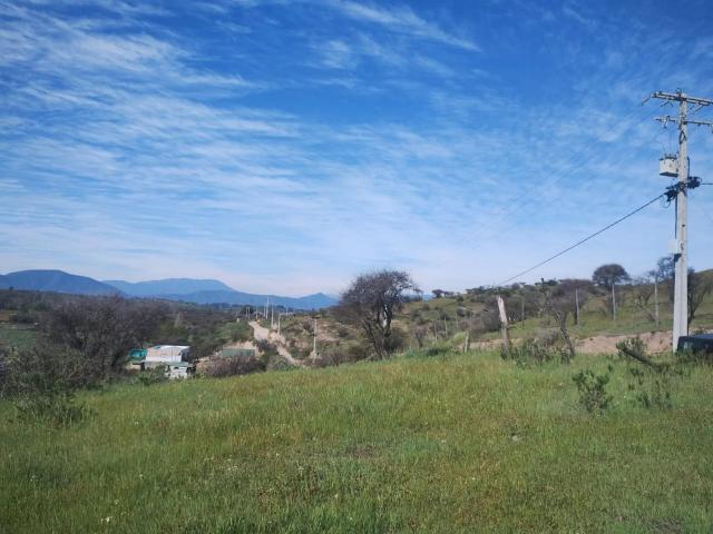 Agrícola en Melipilla