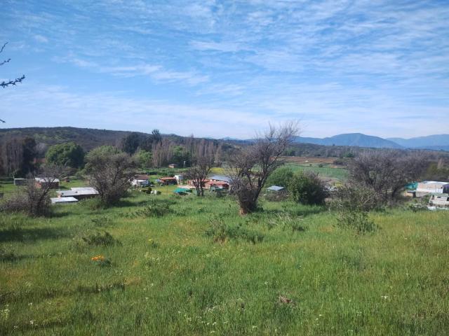 Agrícola en Melipilla