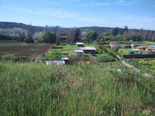 Agrícola en Melipilla