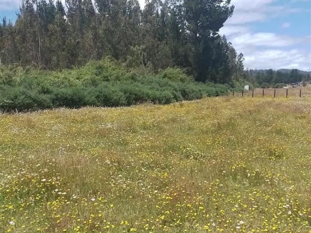 Terreno en venta en Providencia, Metropolitana