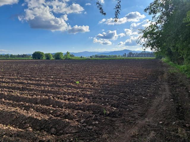 Agrícola en Palmilla