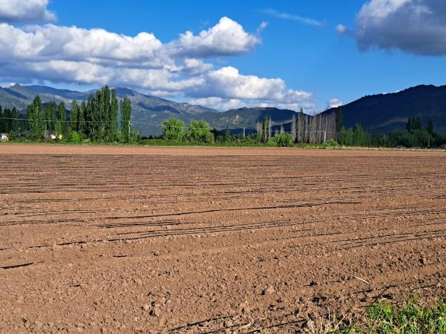 Agrícola en Palmilla