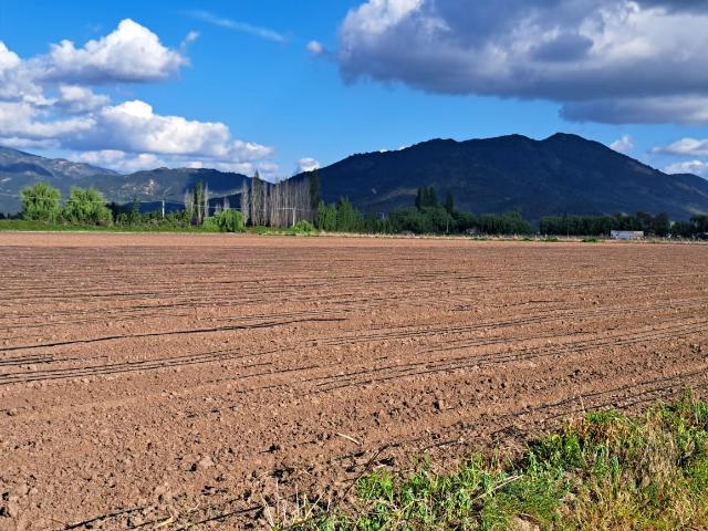 Agrícola en Palmilla