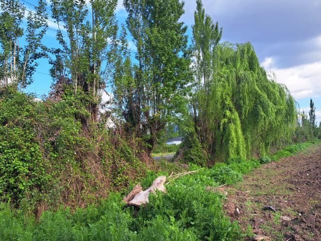 Agrícola en Palmilla