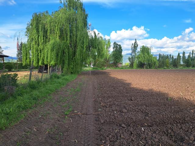 Agrícola en Palmilla