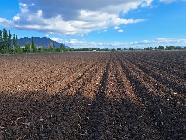 Agrícola en Palmilla