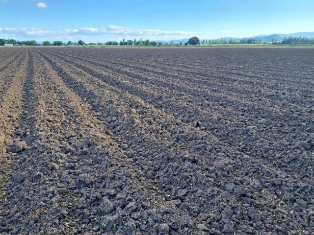 Agrícola en Palmilla