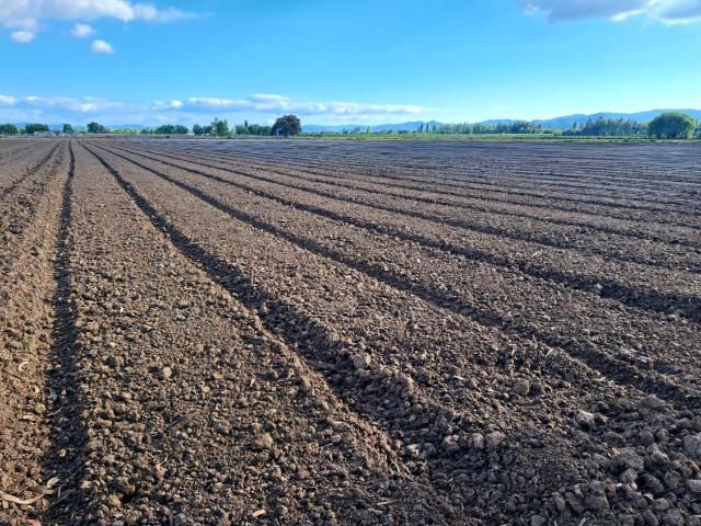 Agrícola en Palmilla