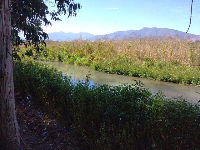 Agrícola en Palmilla