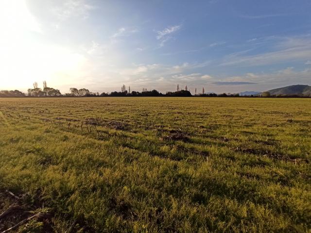 Agrícola en Palmilla