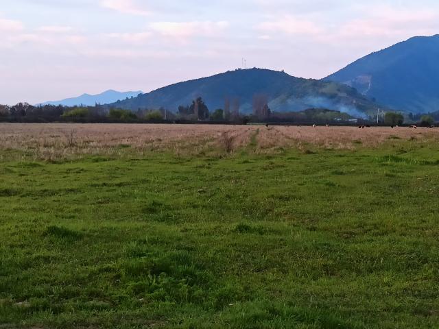 Agrícola en Palmilla