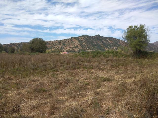 Agrícola en Palmilla