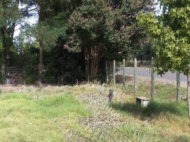 Agrícola en Palmilla