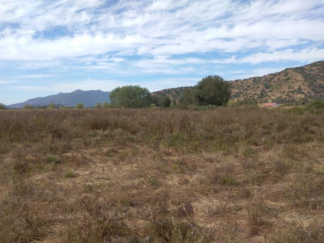 Agrícola en Palmilla