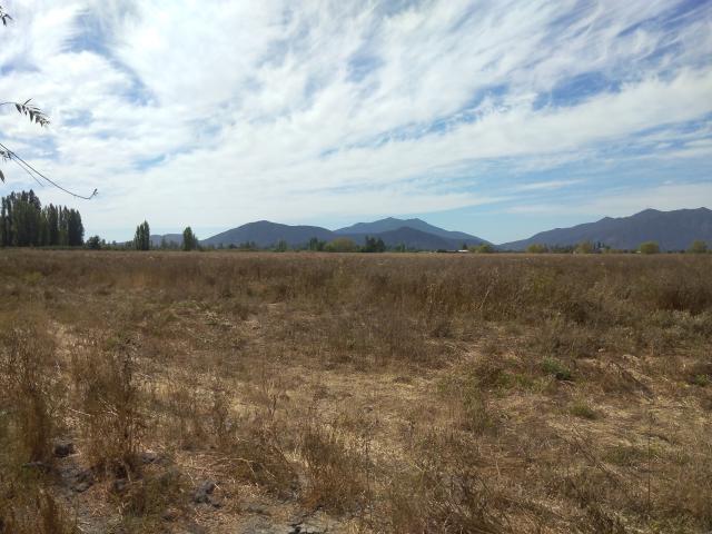 Agrícola en Palmilla