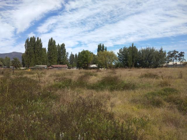 Agrícola en Palmilla