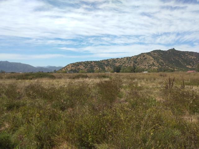 Agrícola en Palmilla