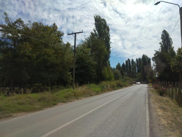 Agrícola en Palmilla