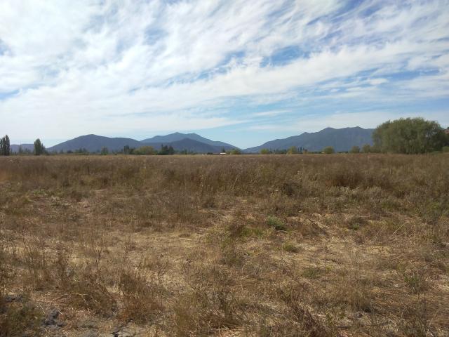 Agrícola en Palmilla