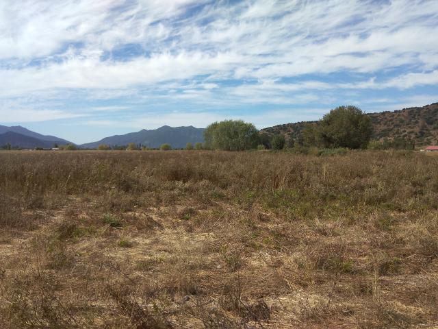 Agrícola en Palmilla