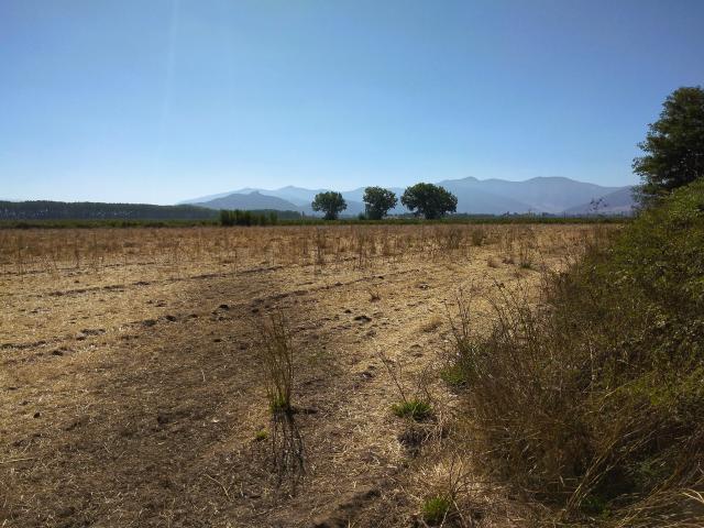 Agrícola en Palmilla