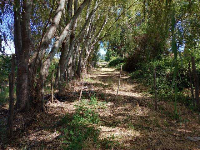 Agrícola en Palmilla