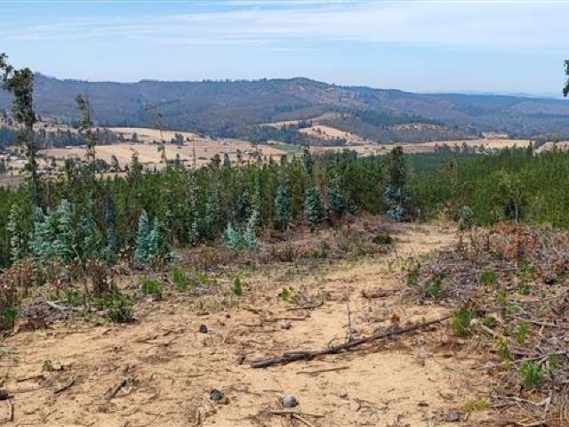 Terreno en venta en Vichuquén, Maule