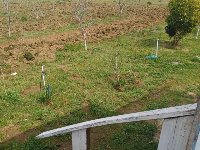 Terreno en venta en Población Digüa, Parral