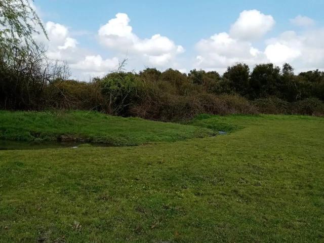 Terreno en venta en Parral, Provincia de Linares