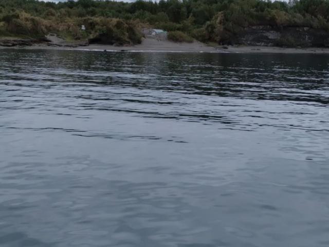 Agrícola en Quellón