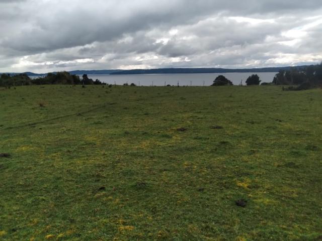 Agrícola en Quellón