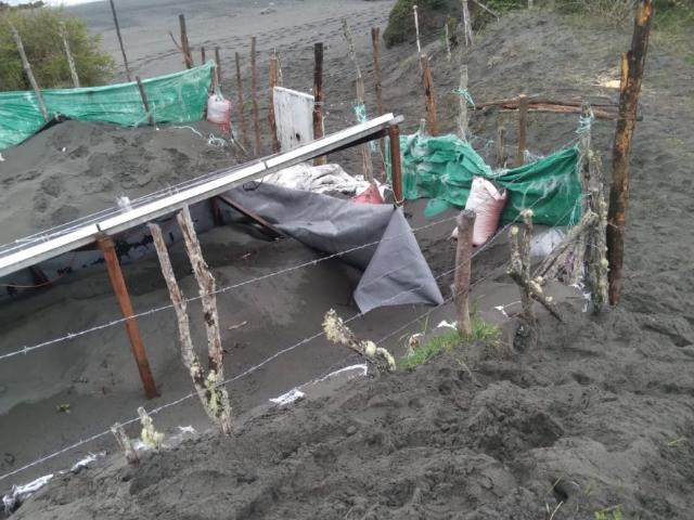 Agrícola en Quellón