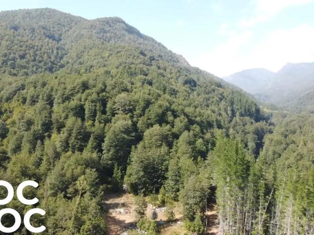 Terreno en venta en Quilaco Alto, Quilaco