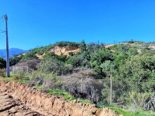 Agrícola en Quilpué