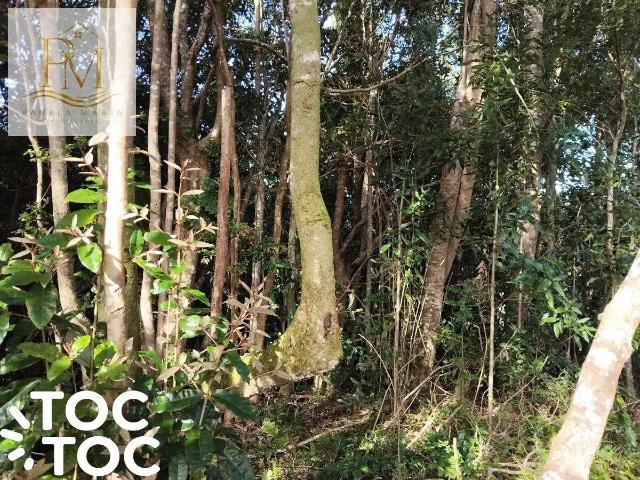 Terreno en venta en Achao, Quinchao