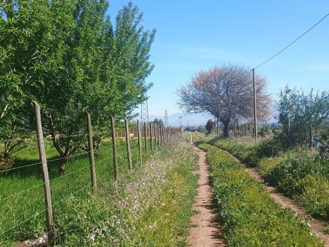 Terreno en venta en Rengo, Libertador General Bernardo O'higgins