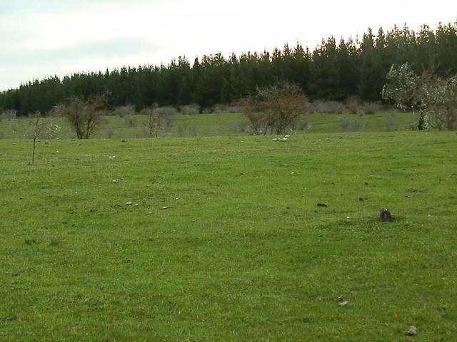 Agrícola en Retiro