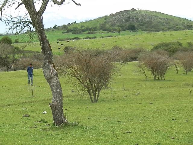 Agrícola en Retiro