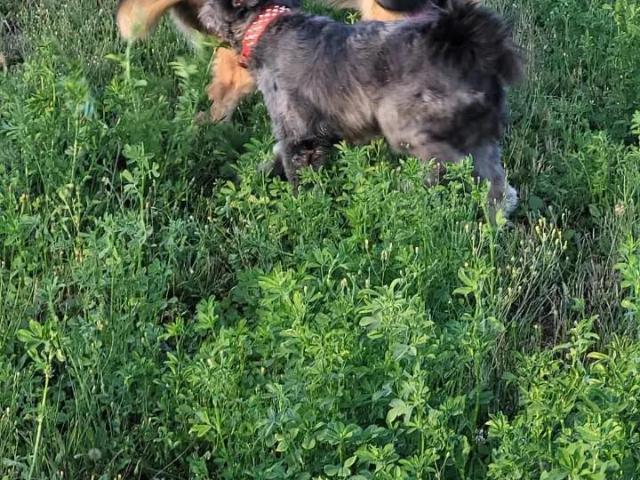 Agrícola en San Ignacio