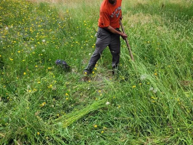 Agrícola en San Ignacio