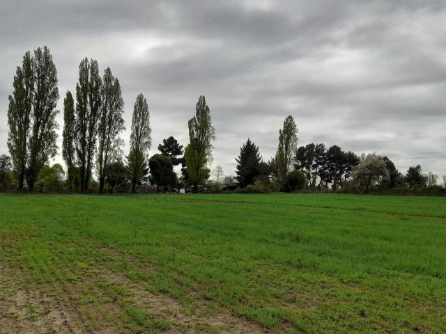 Agrícola en San Ignacio