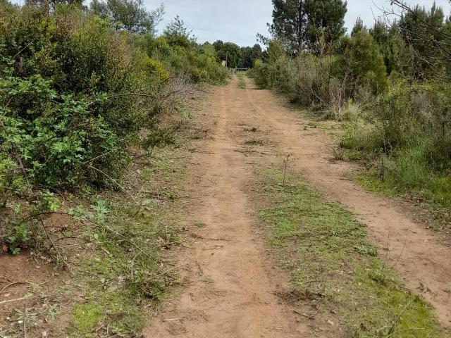 Agrícola en San Ignacio