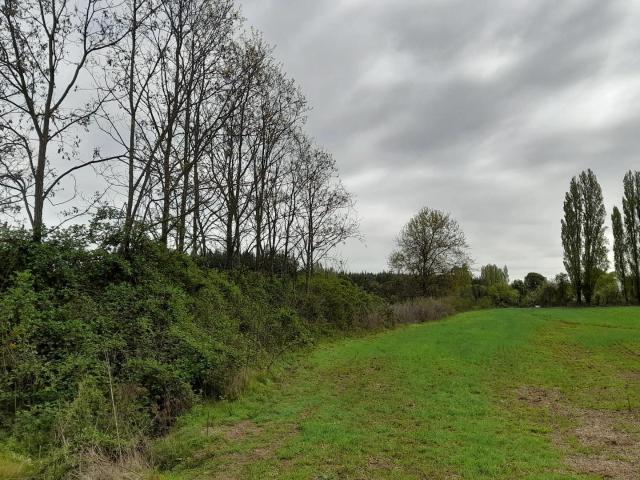 Agrícola en San Ignacio