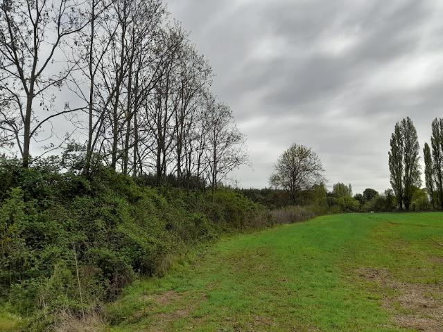Agrícola en San Ignacio
