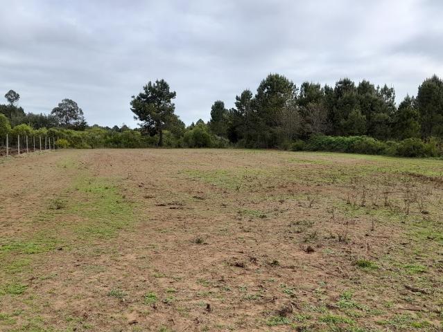 Agrícola en San Ignacio