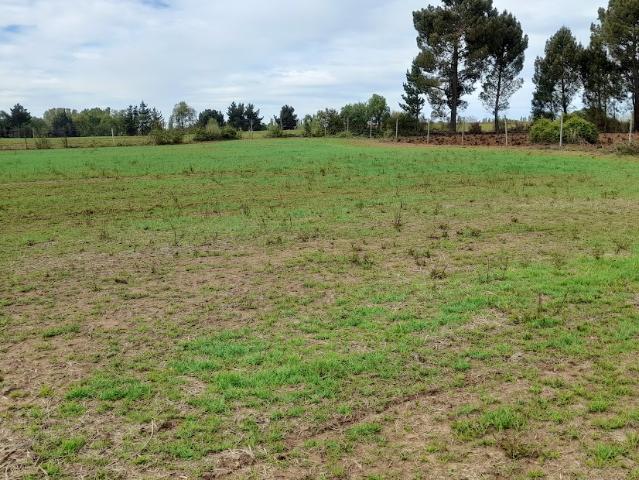 Agrícola en San Ignacio